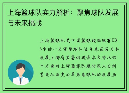 上海篮球队实力解析：聚焦球队发展与未来挑战
